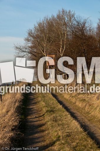 Hochstände (131 von 154).jpg